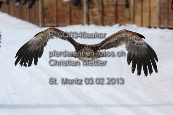 ET0Q0346aakor prot